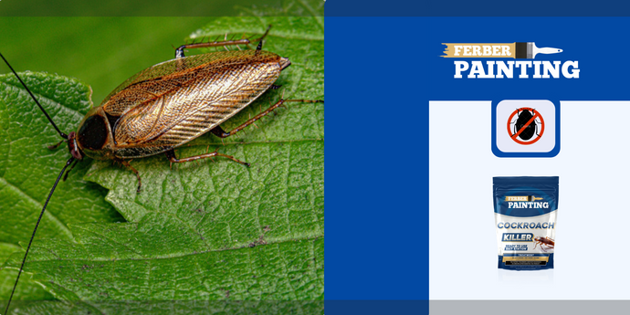 Zijn kakkerlakken gevaarlijk voor uw gezondheid?